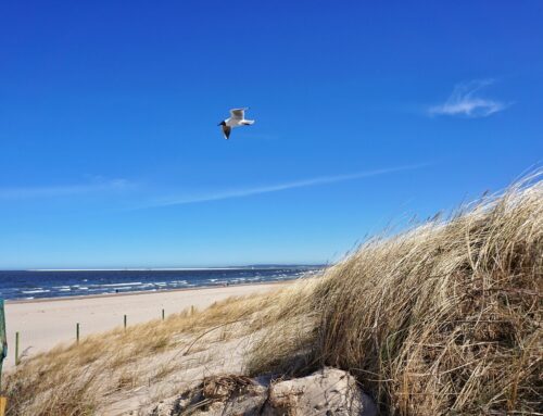 Usedom: Sonne, Meer und Wellness-Oase am Strand, 01. – 06.06.2025